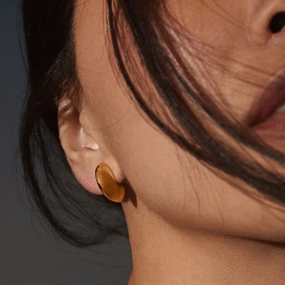 Disc Earrings
