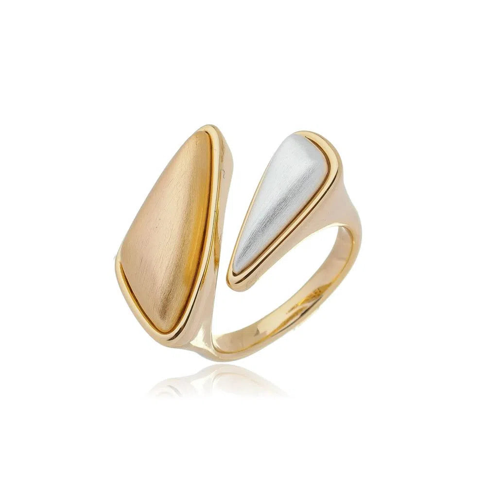 Geometric Duo Ring